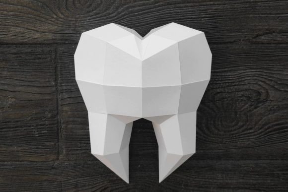 Tooth 3D Paper Sculpture: A 3D SVG for Objects